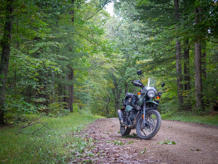 A Royal Enfield Himalayan motorcycle on a dirt forest road.