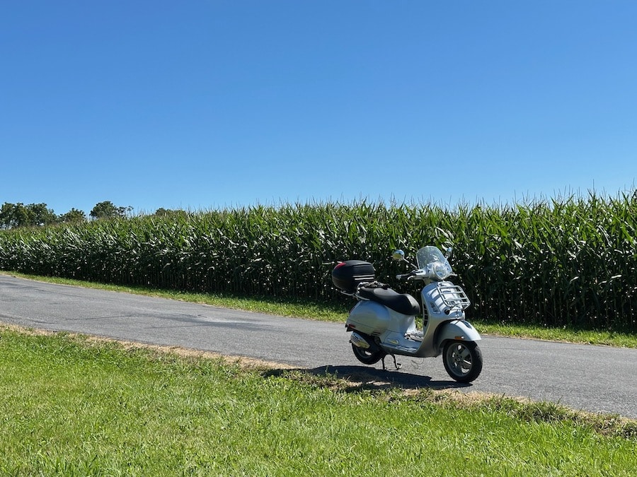 A VEspa GTS 250 scooter parked next to a corn field.
