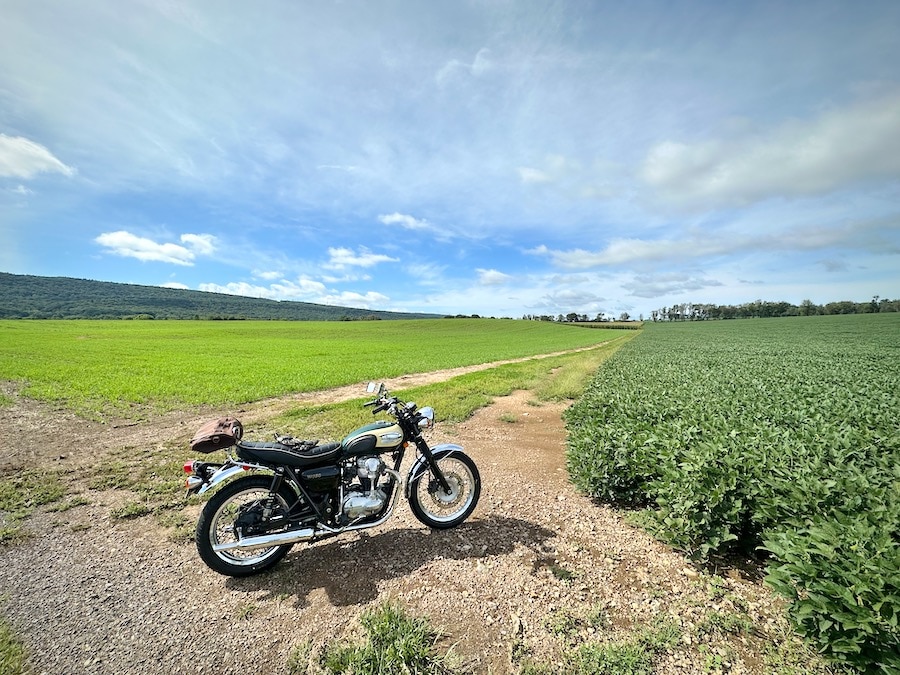 2001 Kawasaki W650 parked in a farm field.
