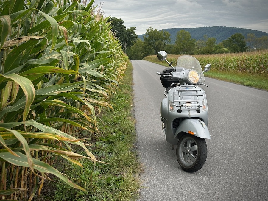 A 2006 Vespa GTS scooter parked alongside a cornfield.