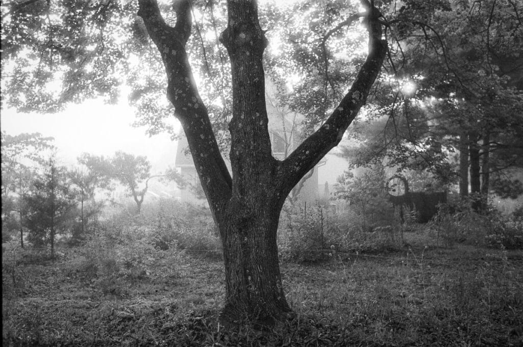 black and white photos