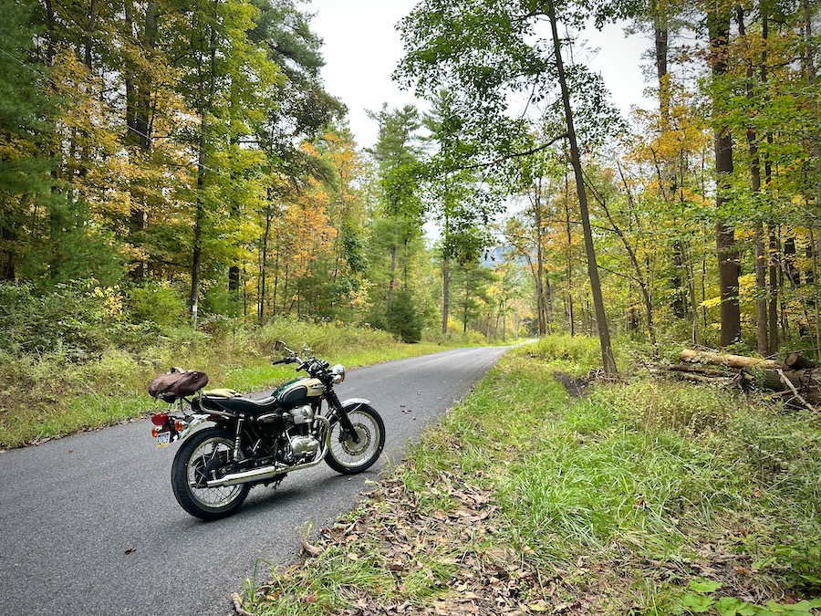 A 2001 Kawasaki W650 motorcycle parked along a wooded road in early autumn.