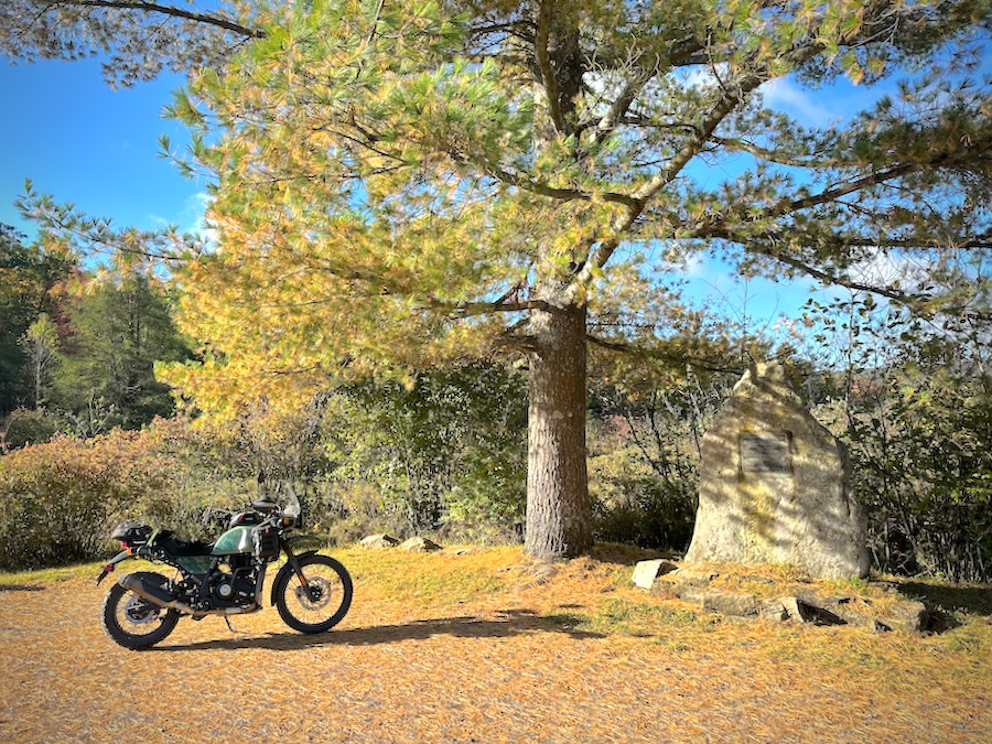 A 2022 Royal Enfield Himalayan parked on a pine needle covered lot at Bear Meadows.
