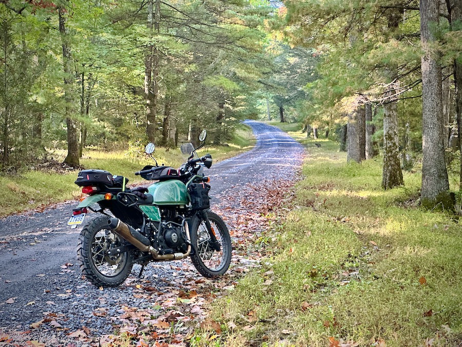 A 2022 Royal Enfield Himalayan motorcycle on a gravel forest road in autumn.