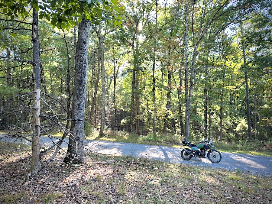 A Royal Enfield Himalayan motorcycle in the forest early in an autumn morning.
