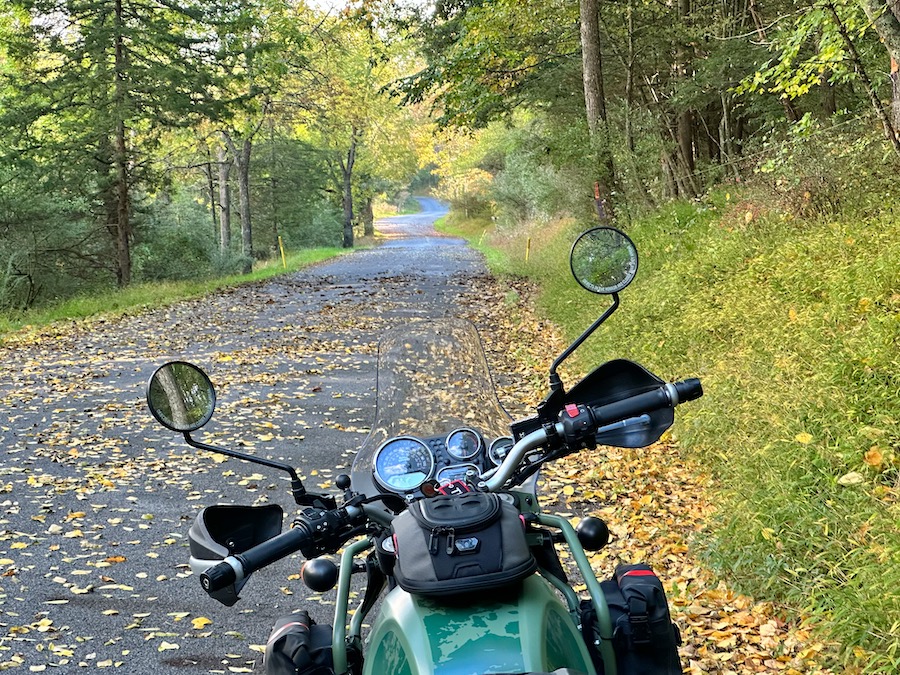 Looking over the handlebars of a motorcycle at fallen leaves on the road.